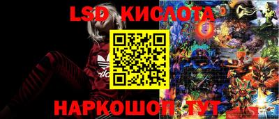 spice Донецк