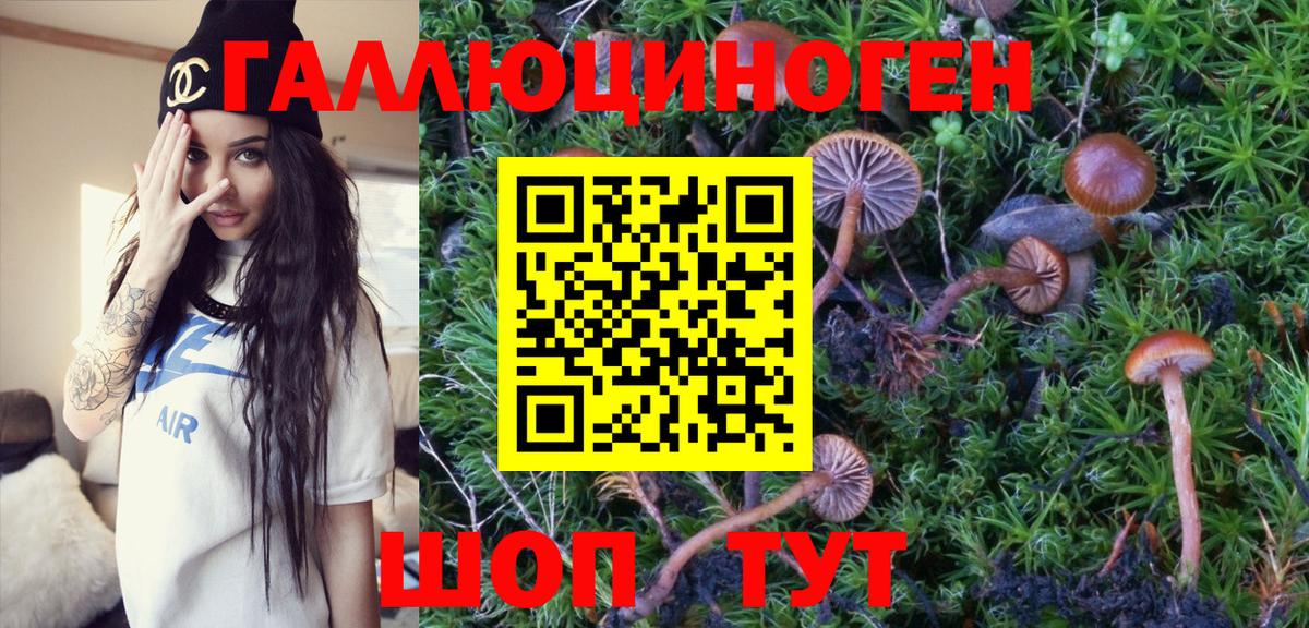 Галлюциногенные грибы GOLDEN TEACHER Моздок
