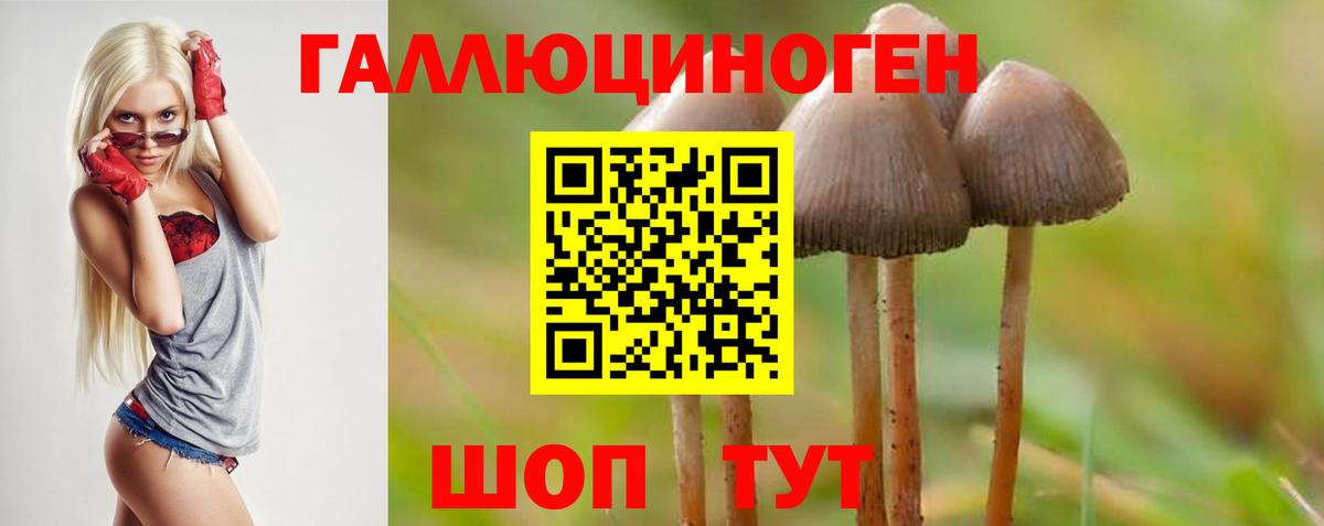 Псилоцибиновые грибы прущие грибы  Вход с VPN  Моздок 